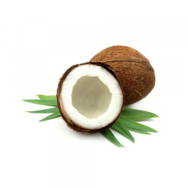 Coconut Kalash (Approx 1600 g - 2000 g)
