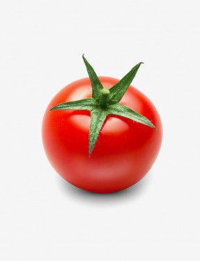 Hybrid fresh tomato