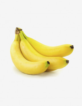 Fresh Organic Banana
 Taille-S Couleur-Noir