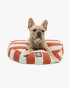 Pet Aruba Rectangle Dog Bed