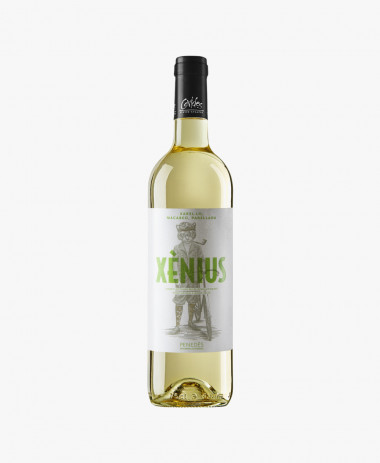 Pinot Grigio White Wines